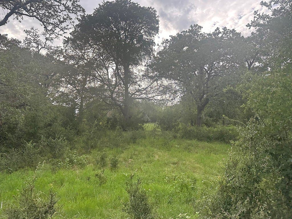 49.15 acres in Fayette County - photo 8