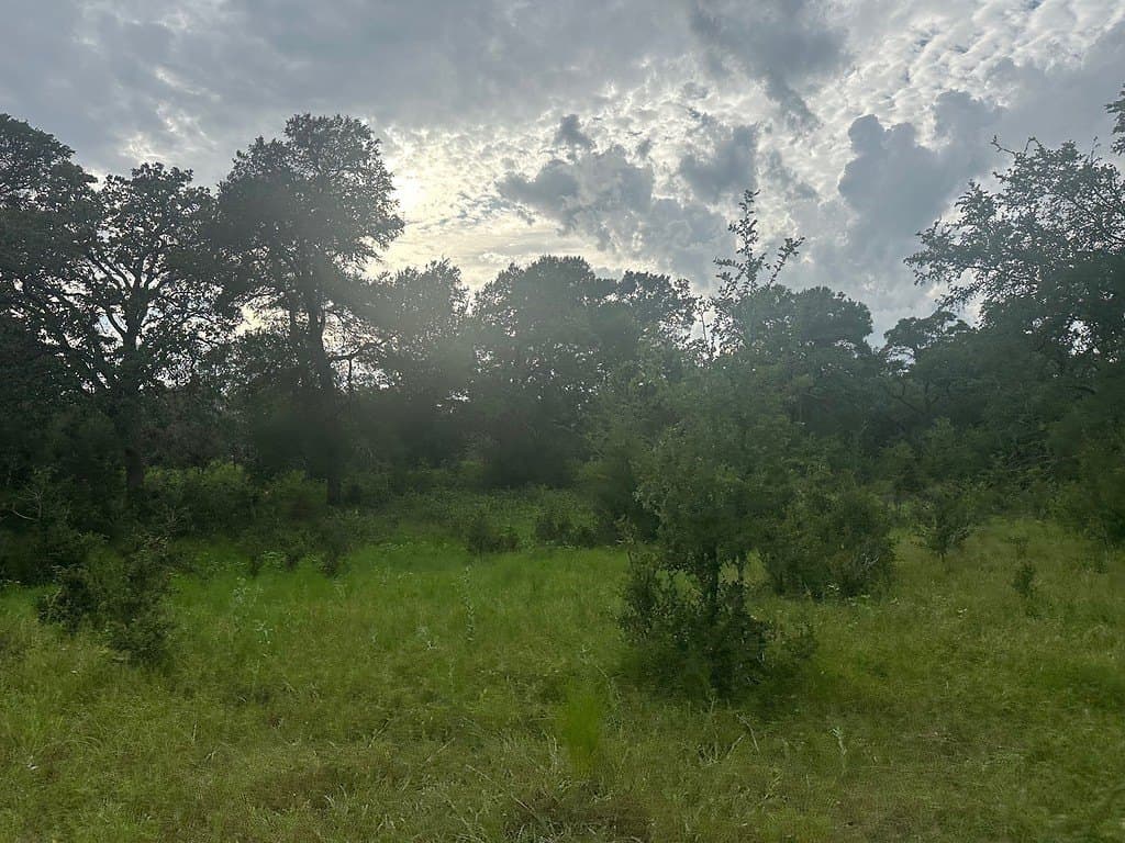 49.15 acres in Fayette County - photo 3