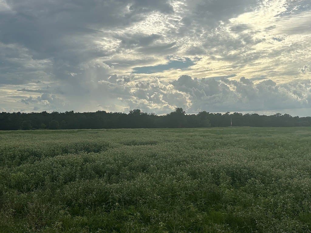 49.15 acres in Fayette County - photo 4