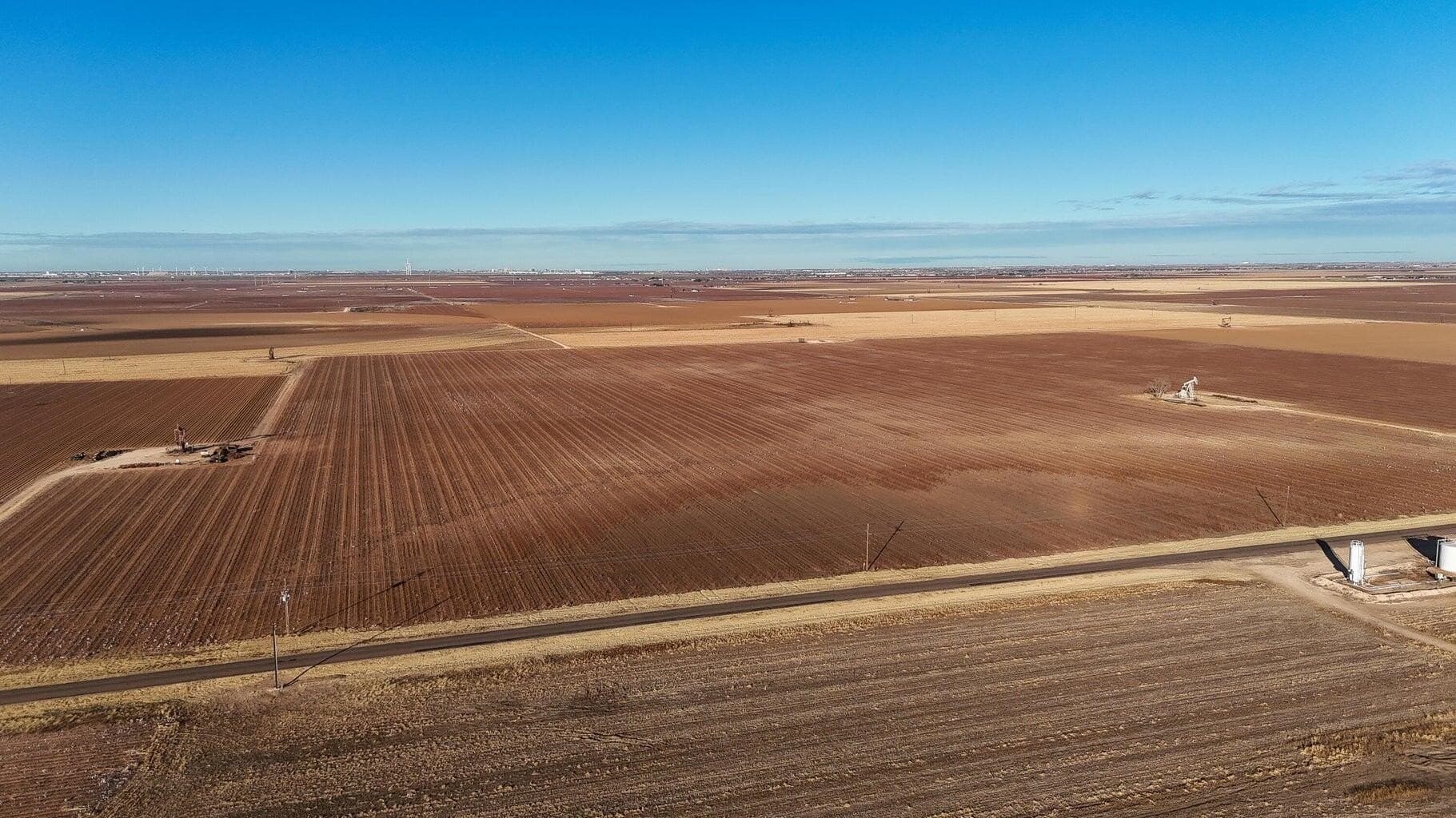 90 acres in Lubbock County gallery image 4