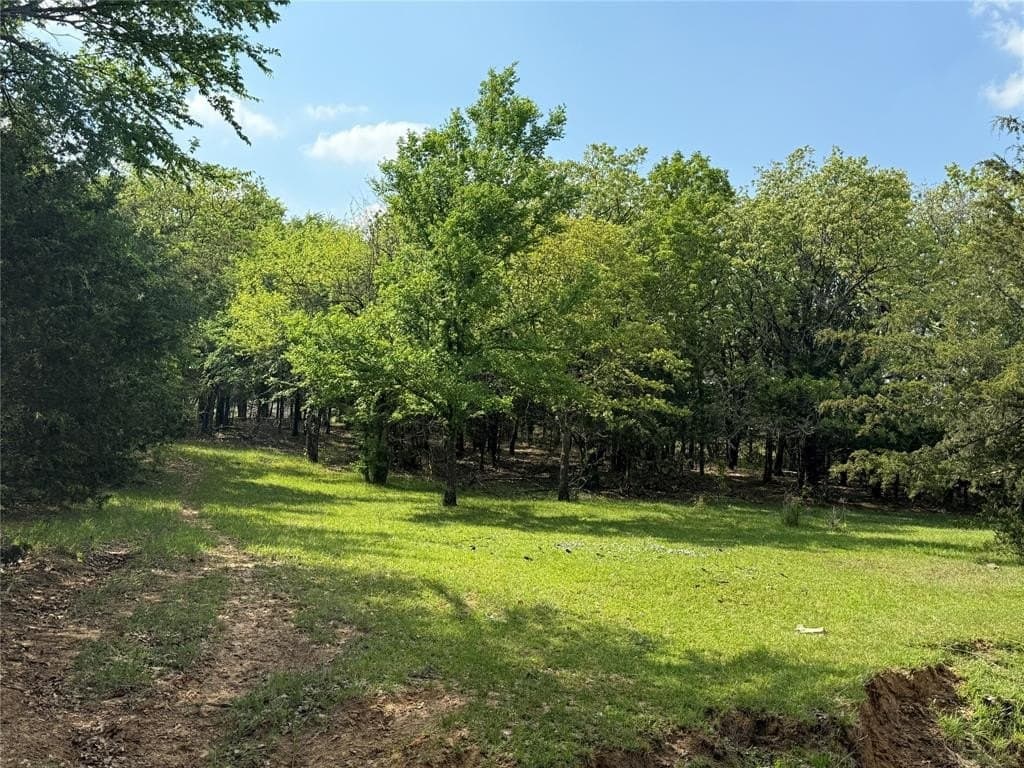 41.72 acres in Grayson County gallery image 2