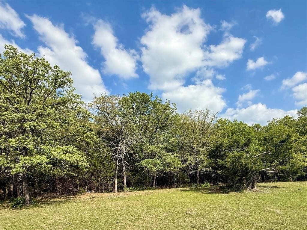 41.72 acres in Grayson County gallery image 3