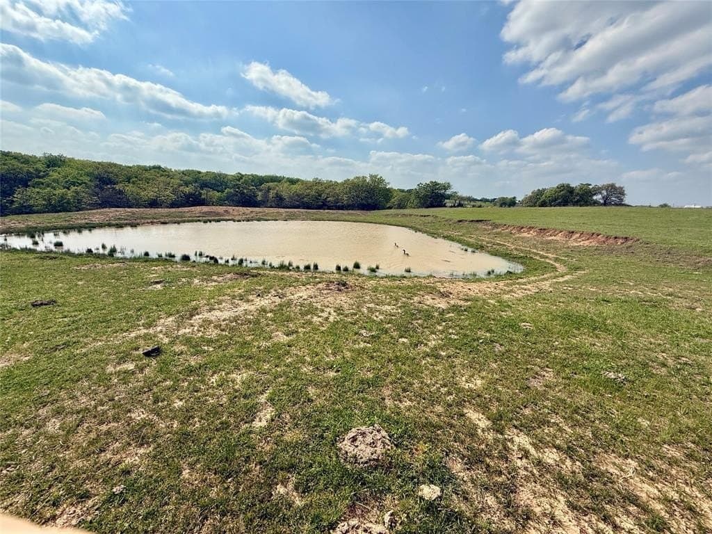 41.72 acres in Grayson County gallery image 4