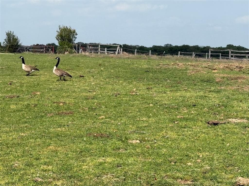 41.72 acres in Grayson County featured view