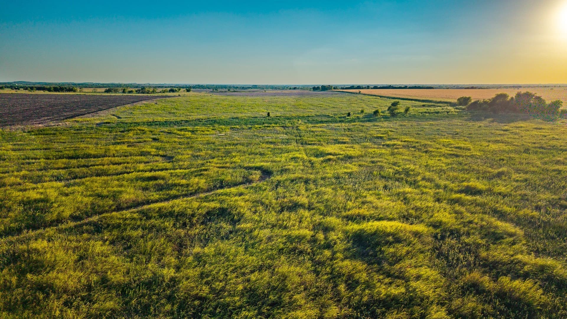 23.9 acres in Ellis County - photo 13