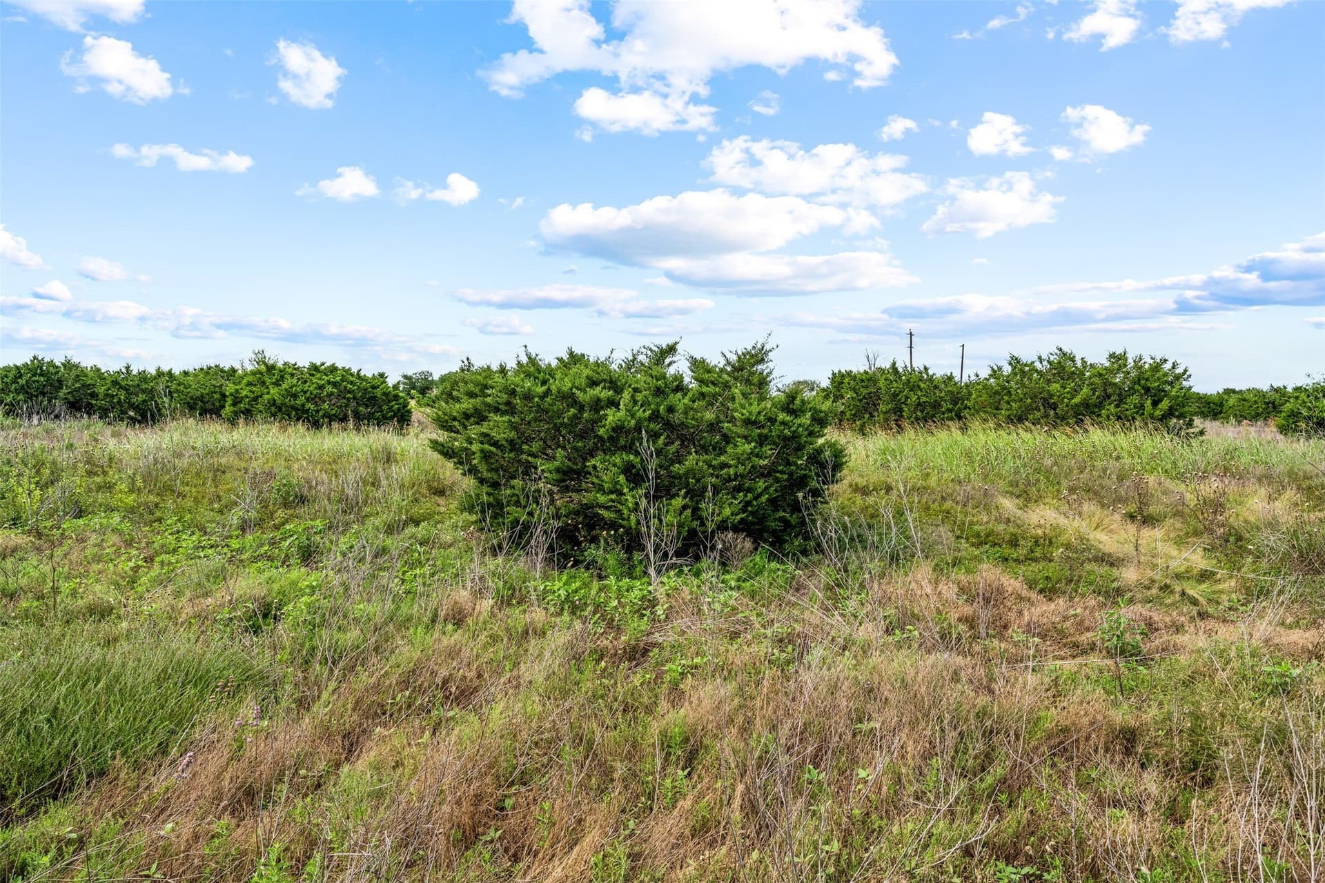 20 acres in McLennan County - photo 22