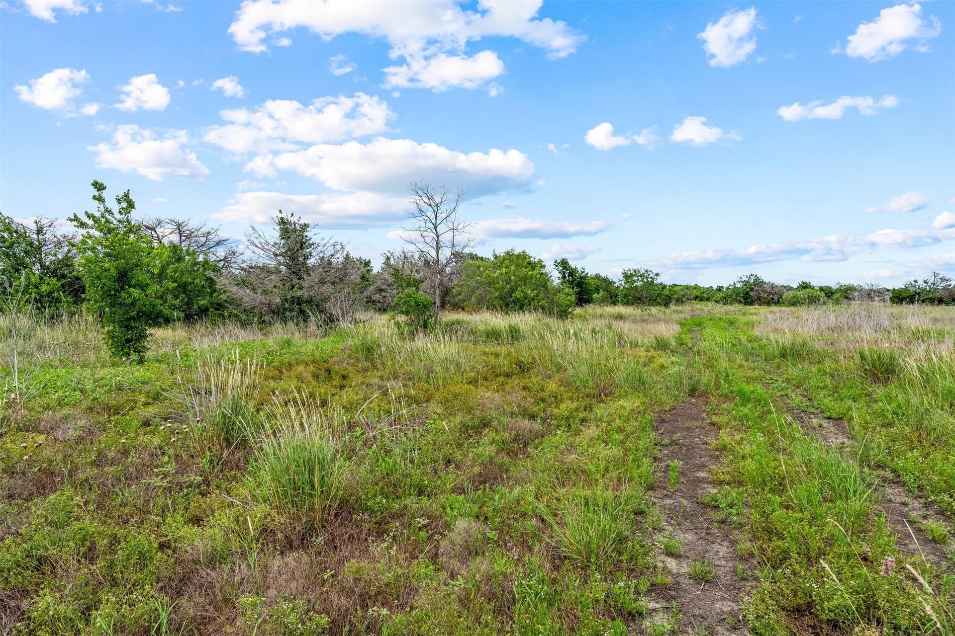 20 acres in McLennan County - photo 20