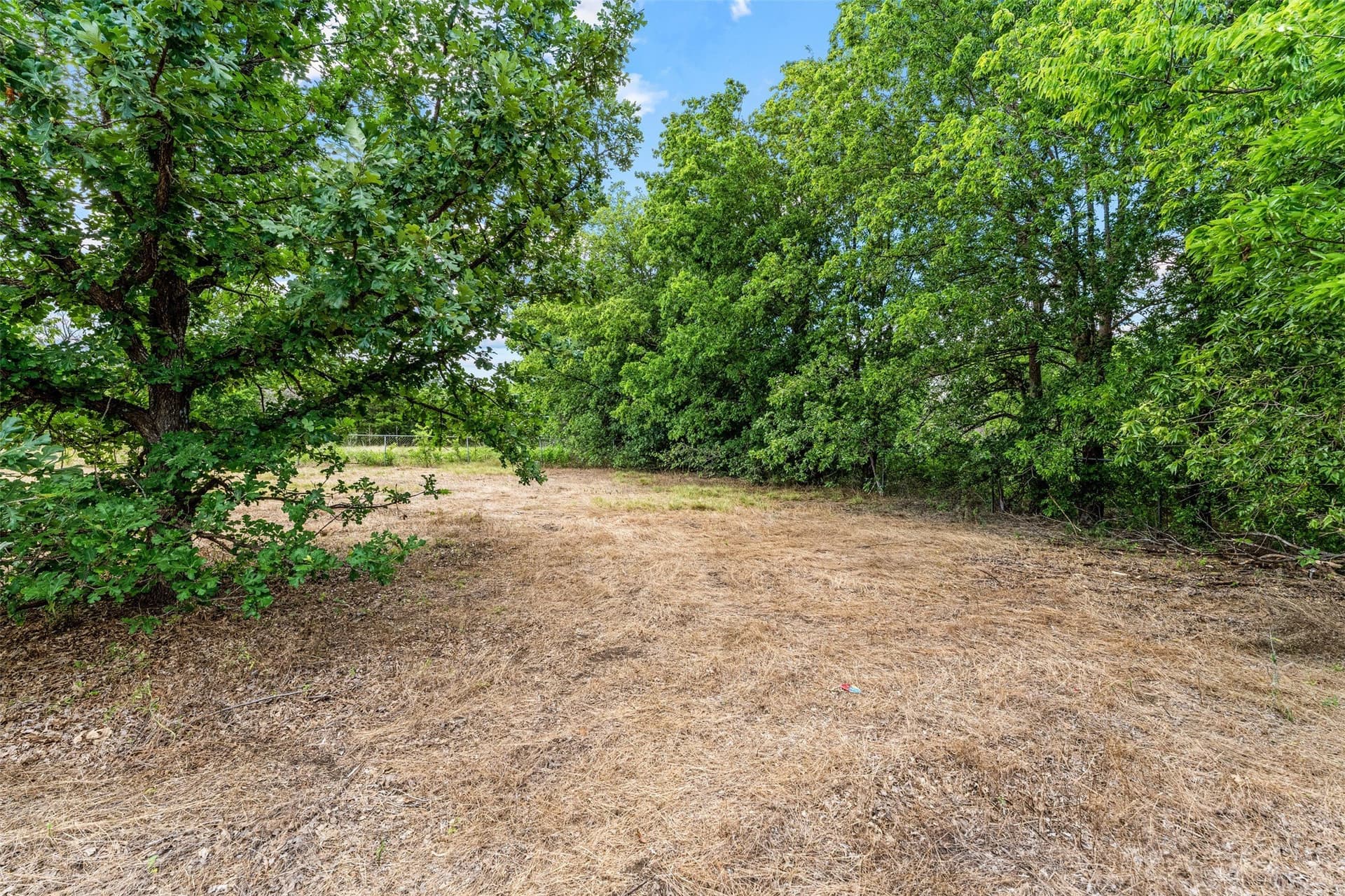 20 acres in McLennan County - photo 17