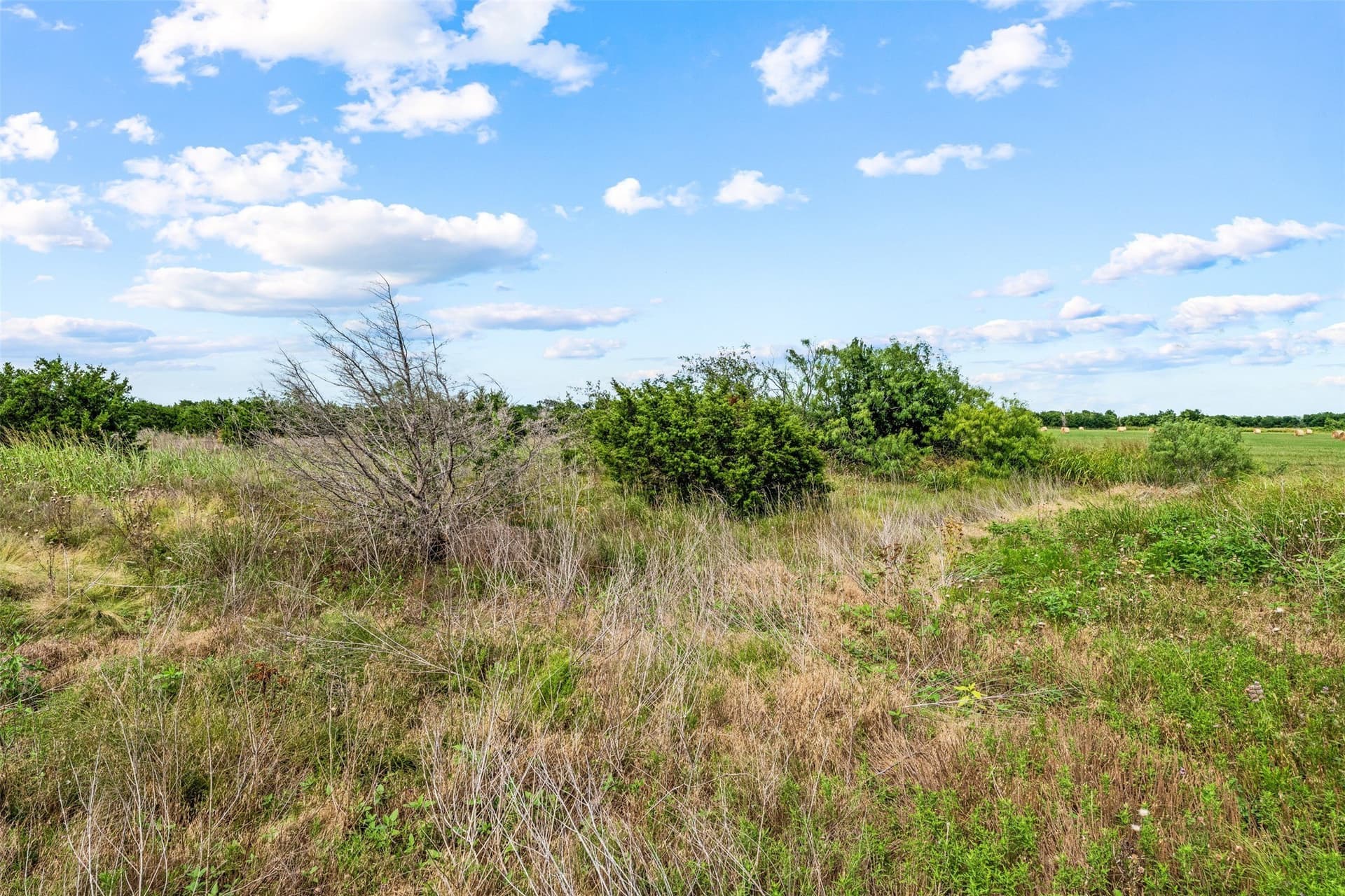 20 acres in McLennan County - photo 21