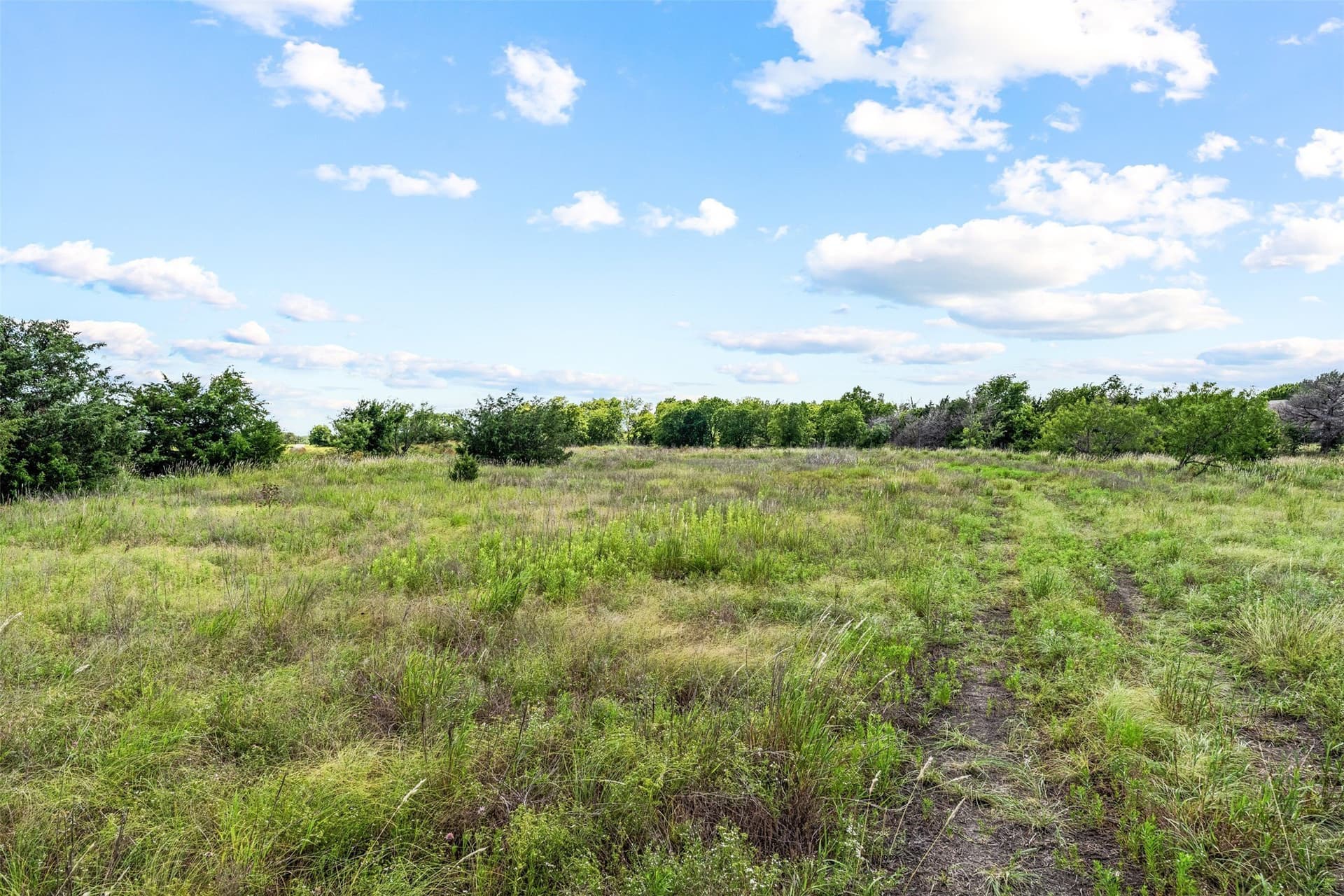 20 acres in McLennan County - photo 23
