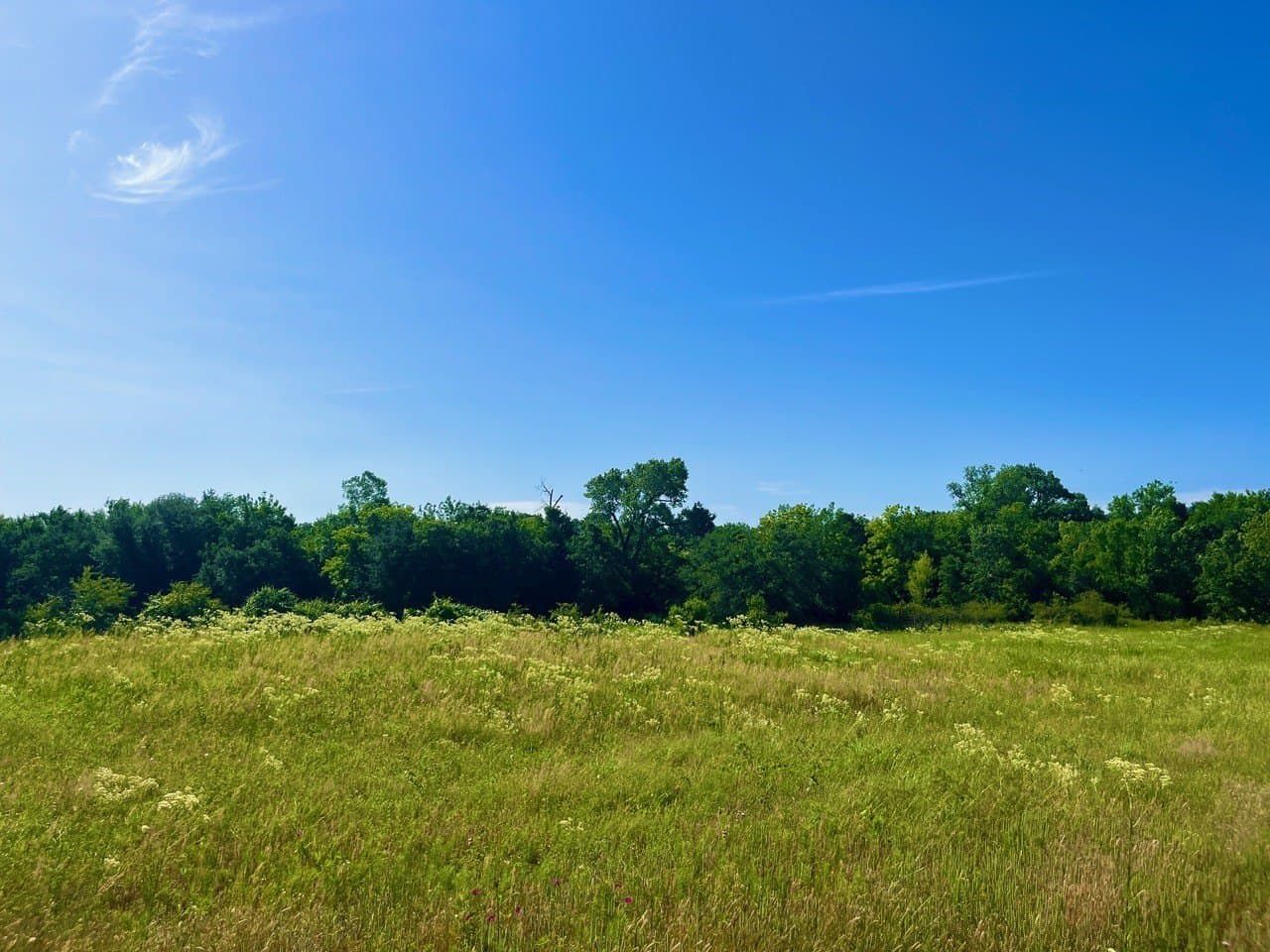 2 acres in Parker County - photo 2