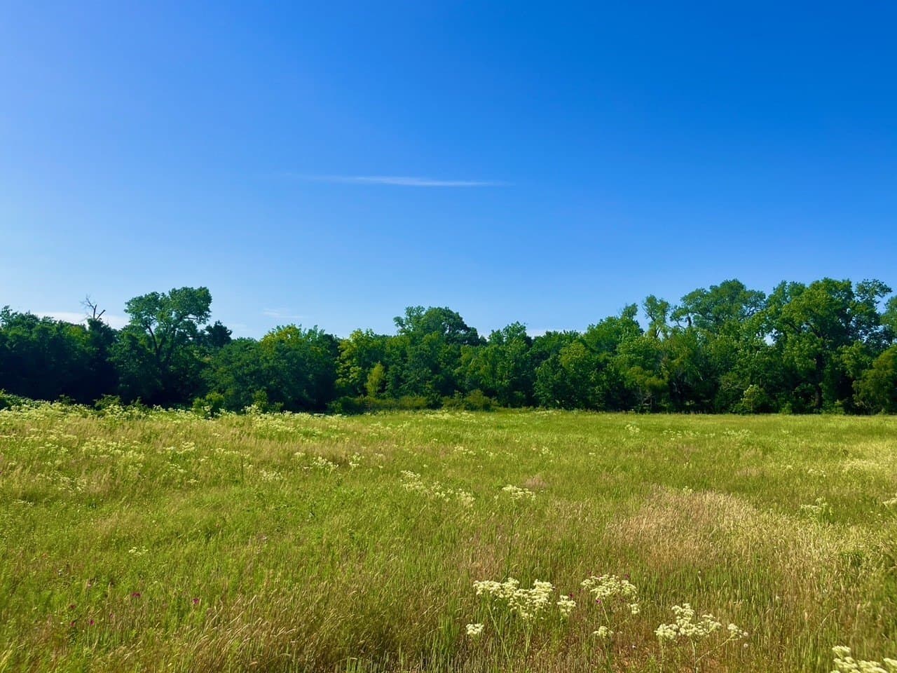 2 acres in Parker County - photo 3