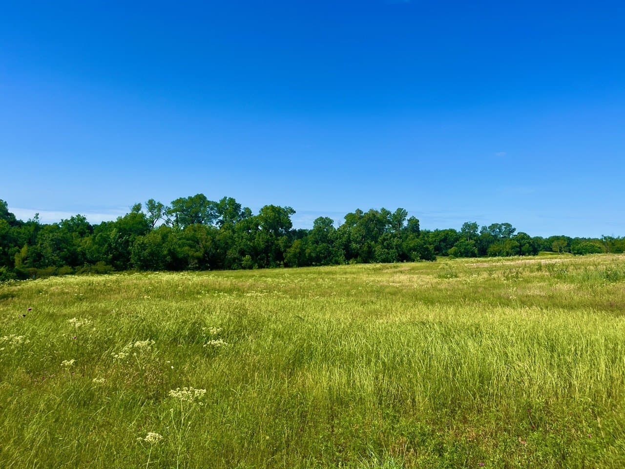 2 acres in Parker County - photo 5