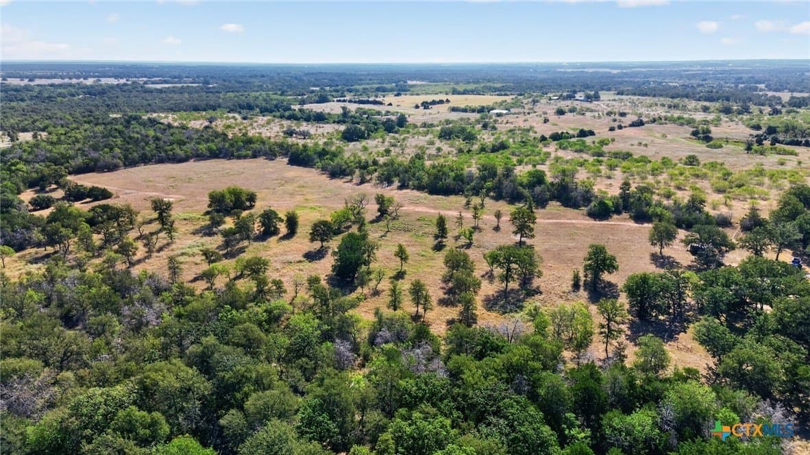 68.67 acres in Bastrop County - photo 4