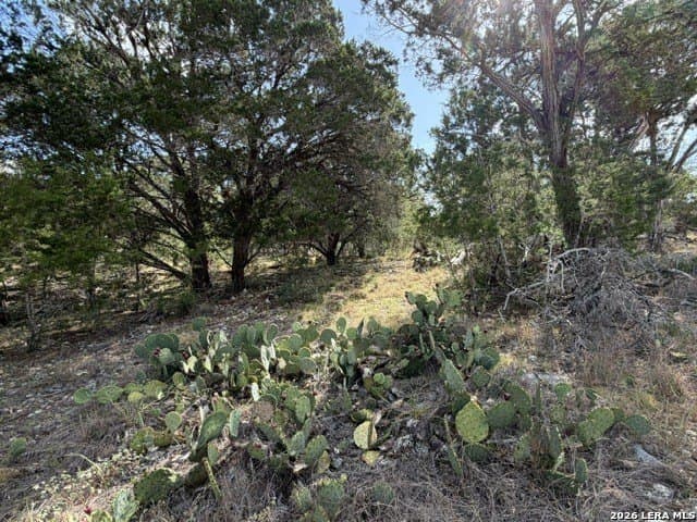 1.82 acres in Bandera County - photo 13