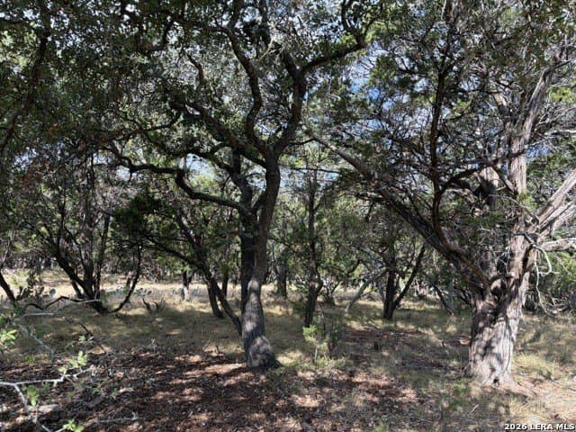 1.82 acres in Bandera County - photo 7