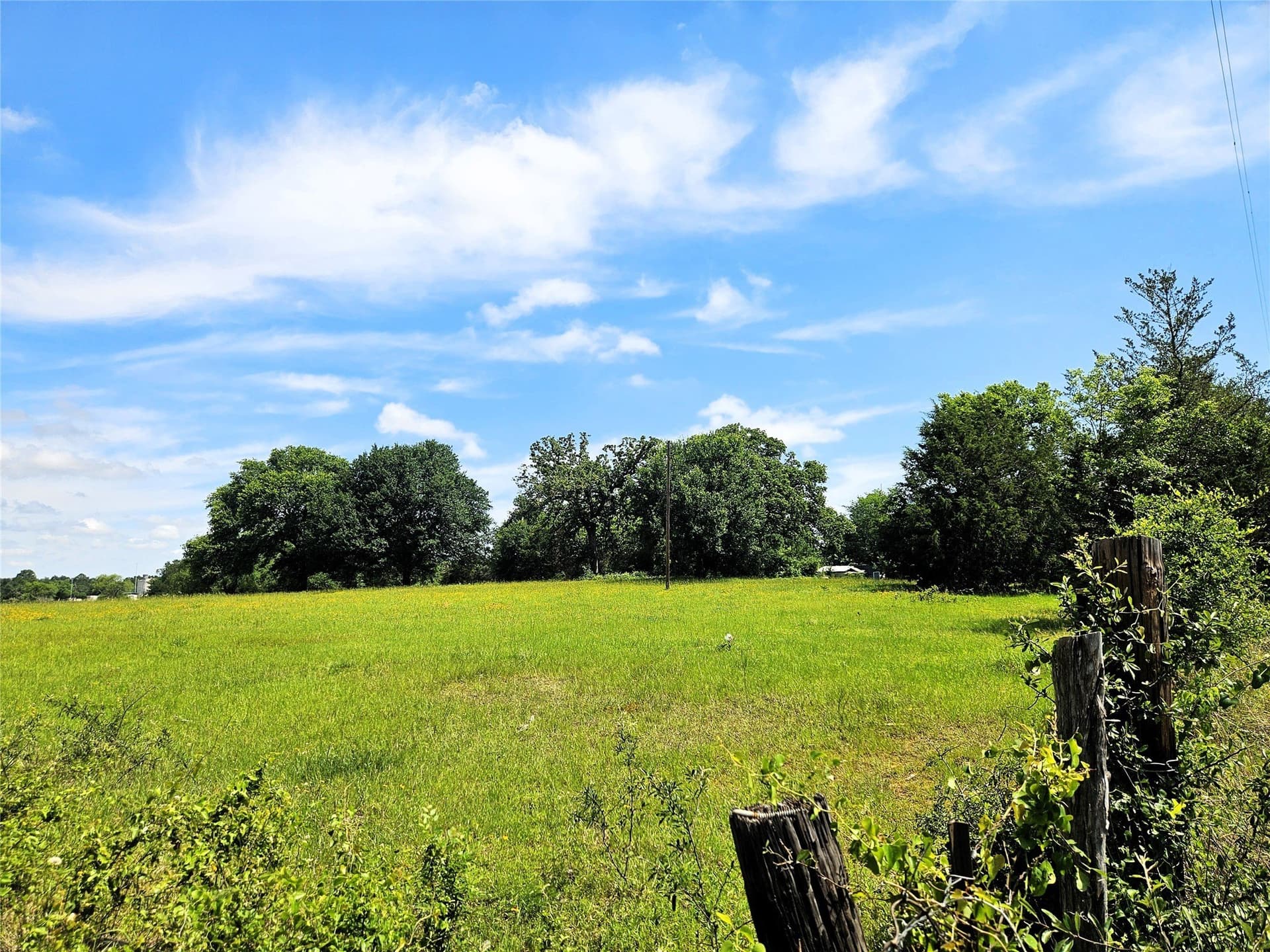 13 acres in Limestone County gallery image 2