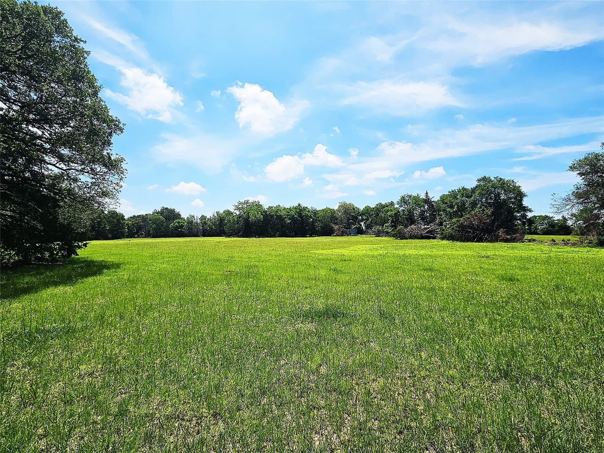 13 acres in Limestone County - photo 8