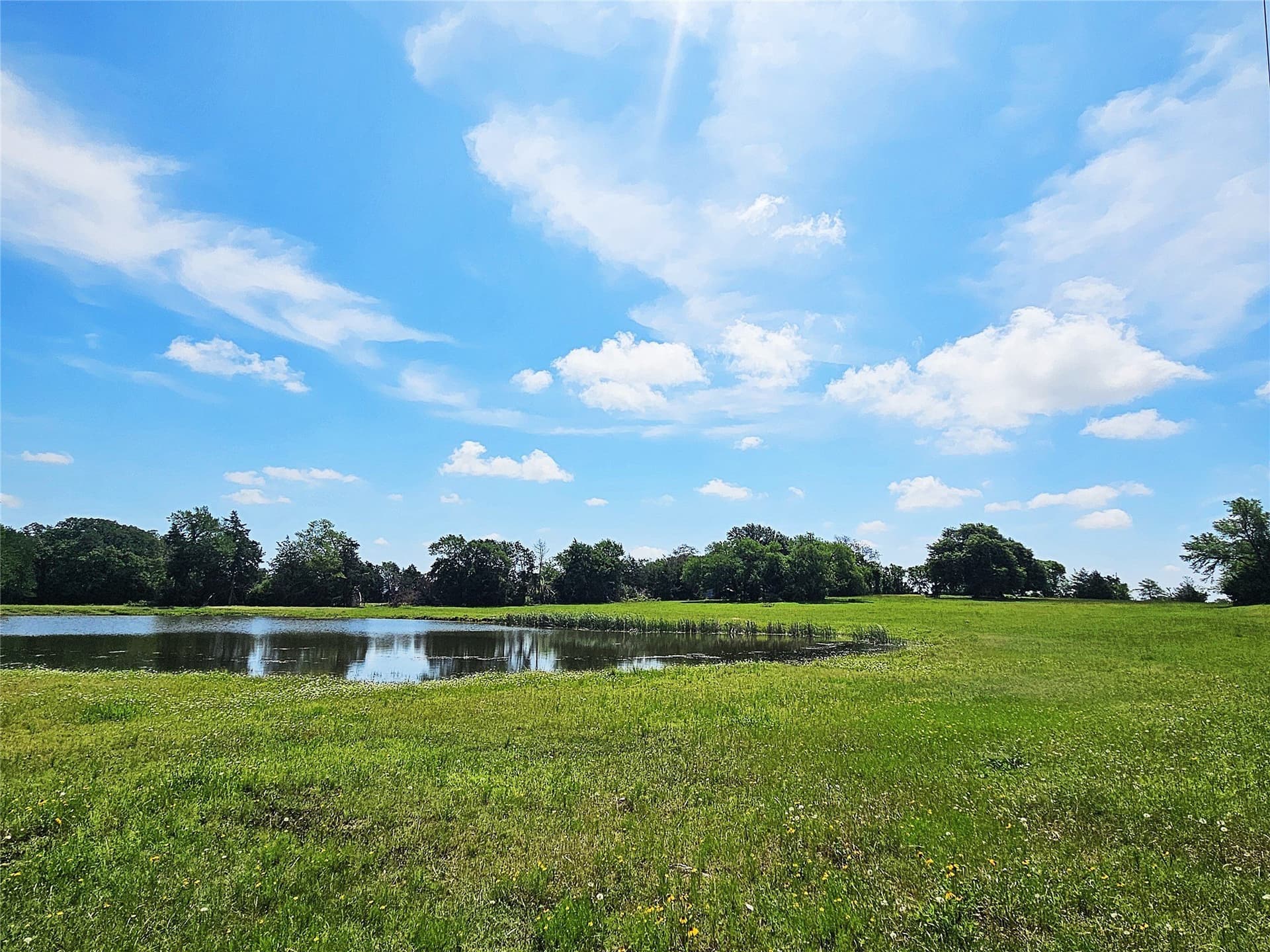 13 acres in Limestone County - photo 6