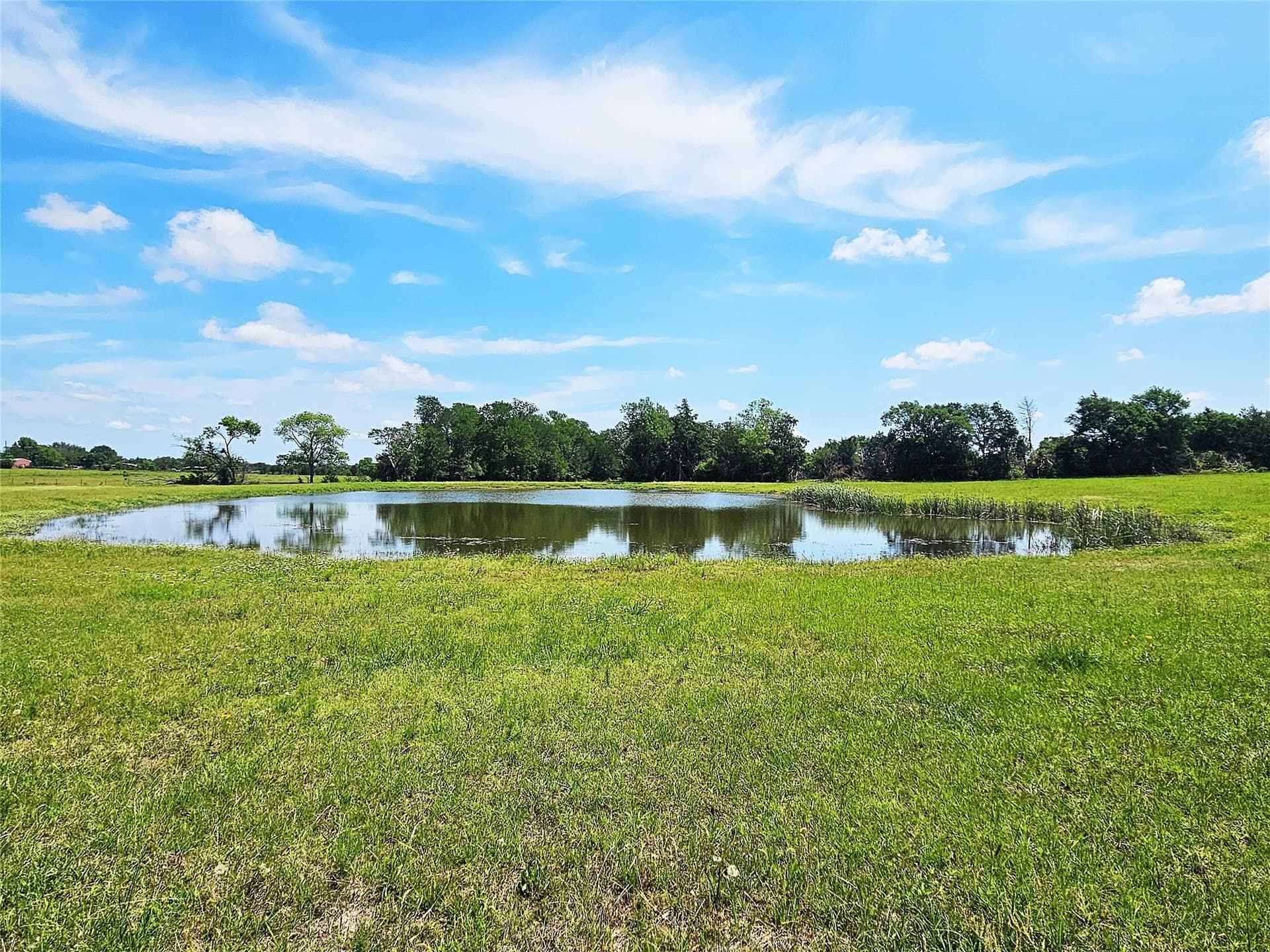 13 acres in Limestone County featured view