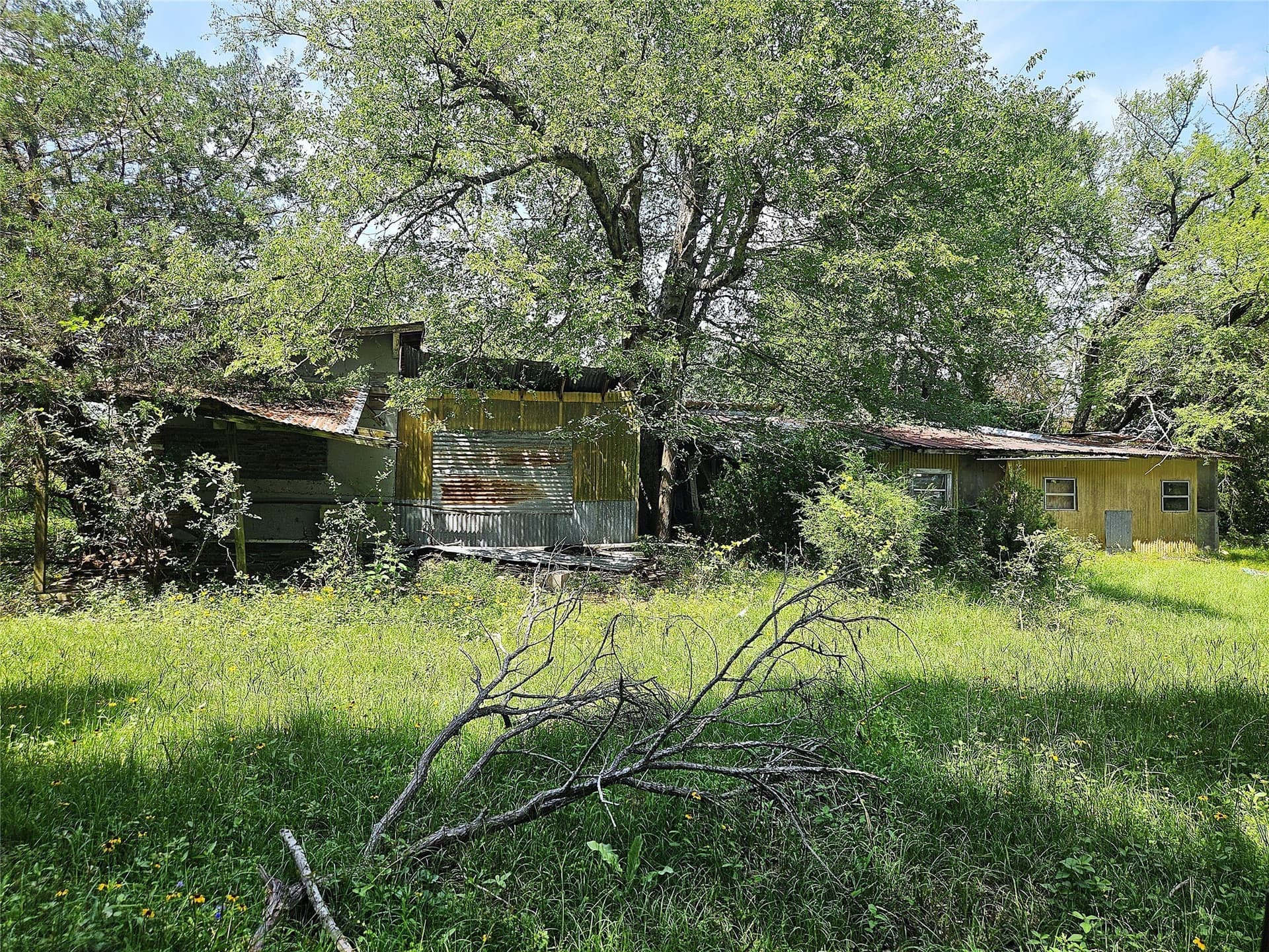 13 acres in Limestone County - photo 16