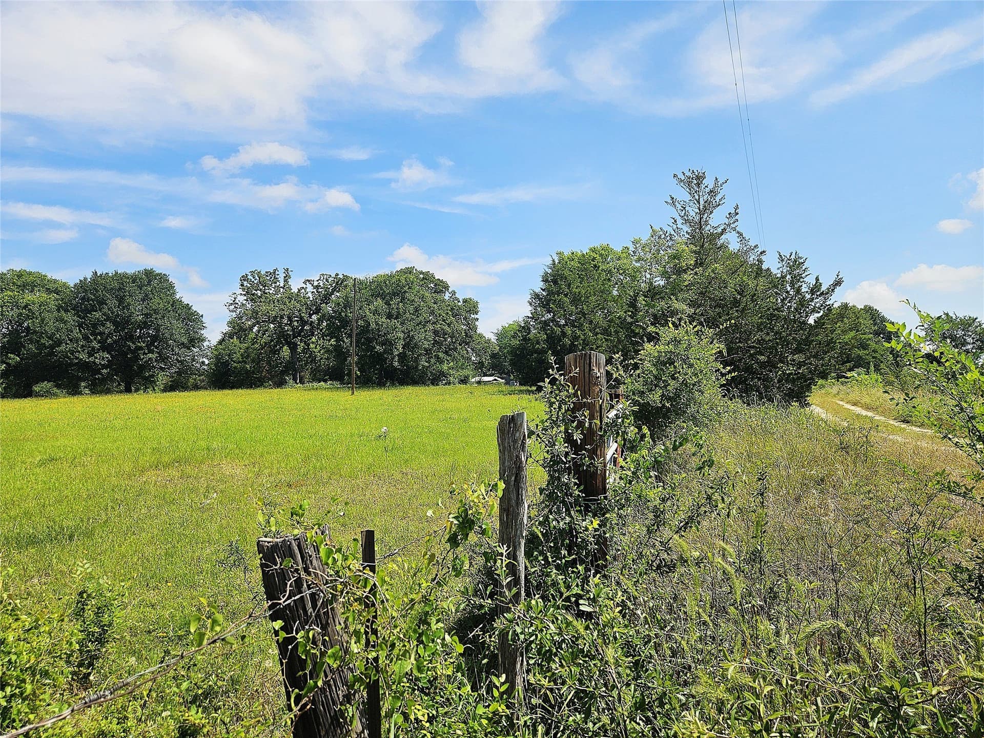 13 acres in Limestone County - photo 12