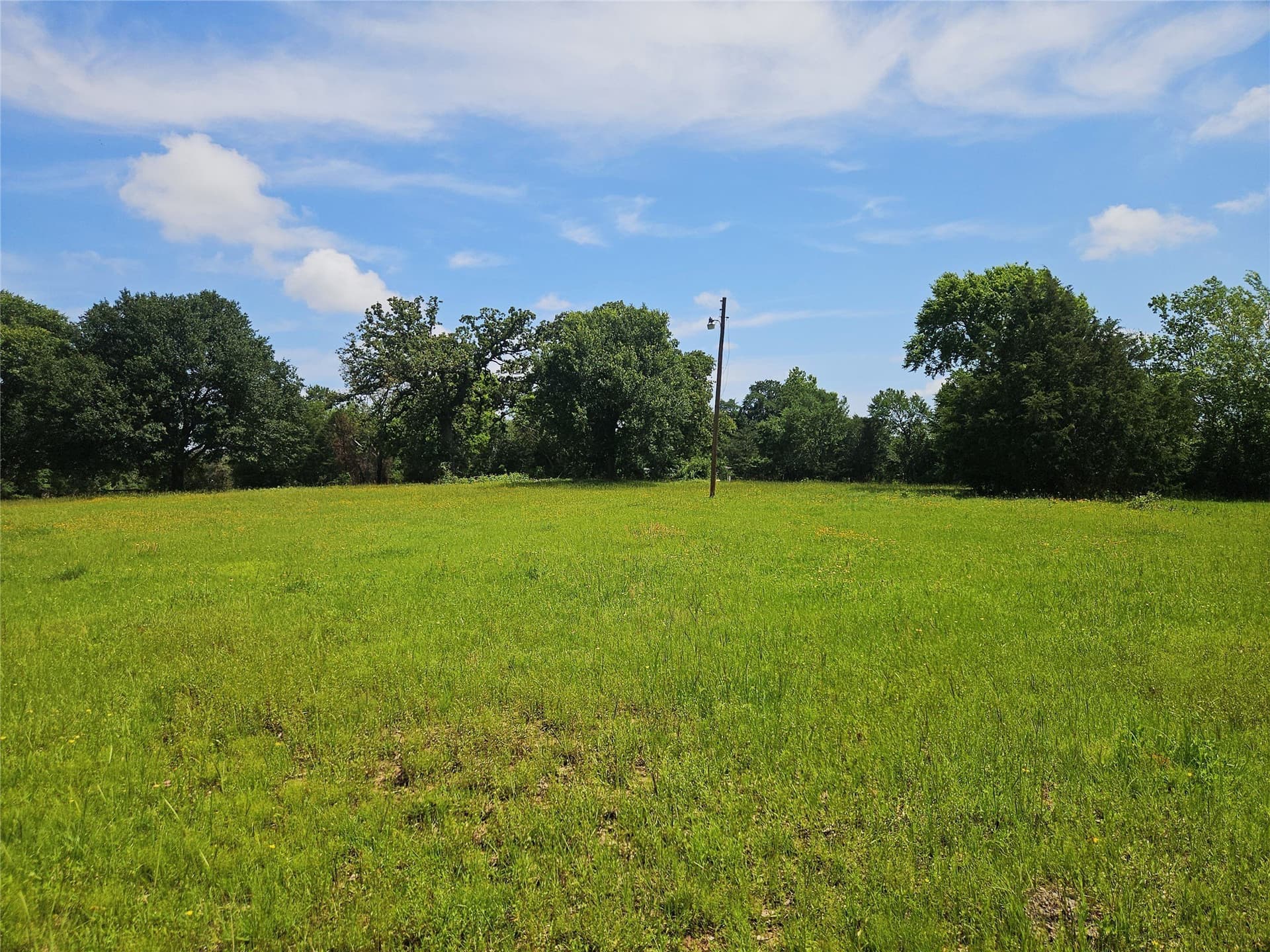 13 acres in Limestone County gallery image 3