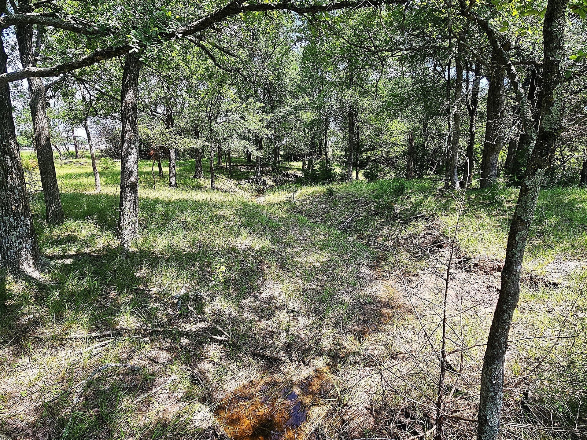 13 acres in Limestone County - photo 11
