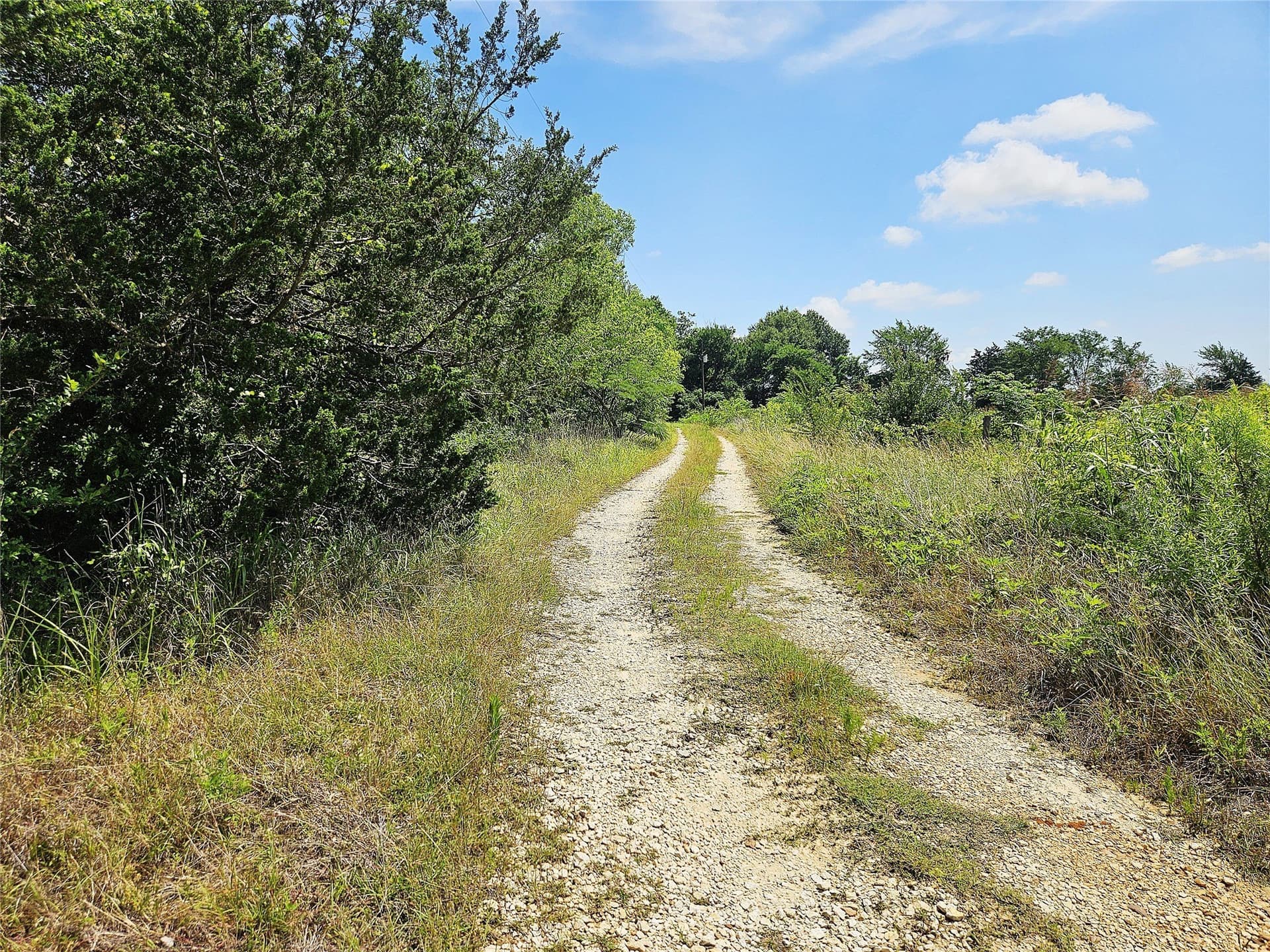 13 acres in Limestone County - photo 13