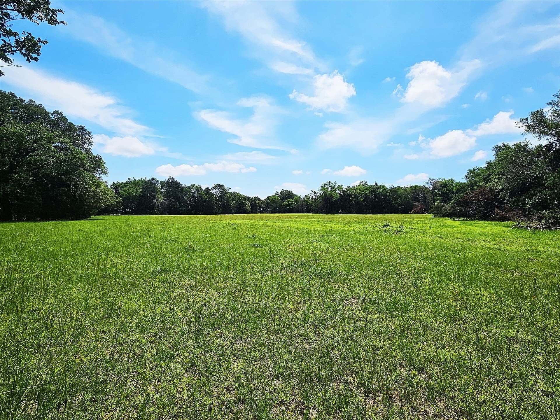 13 acres in Limestone County - photo 9