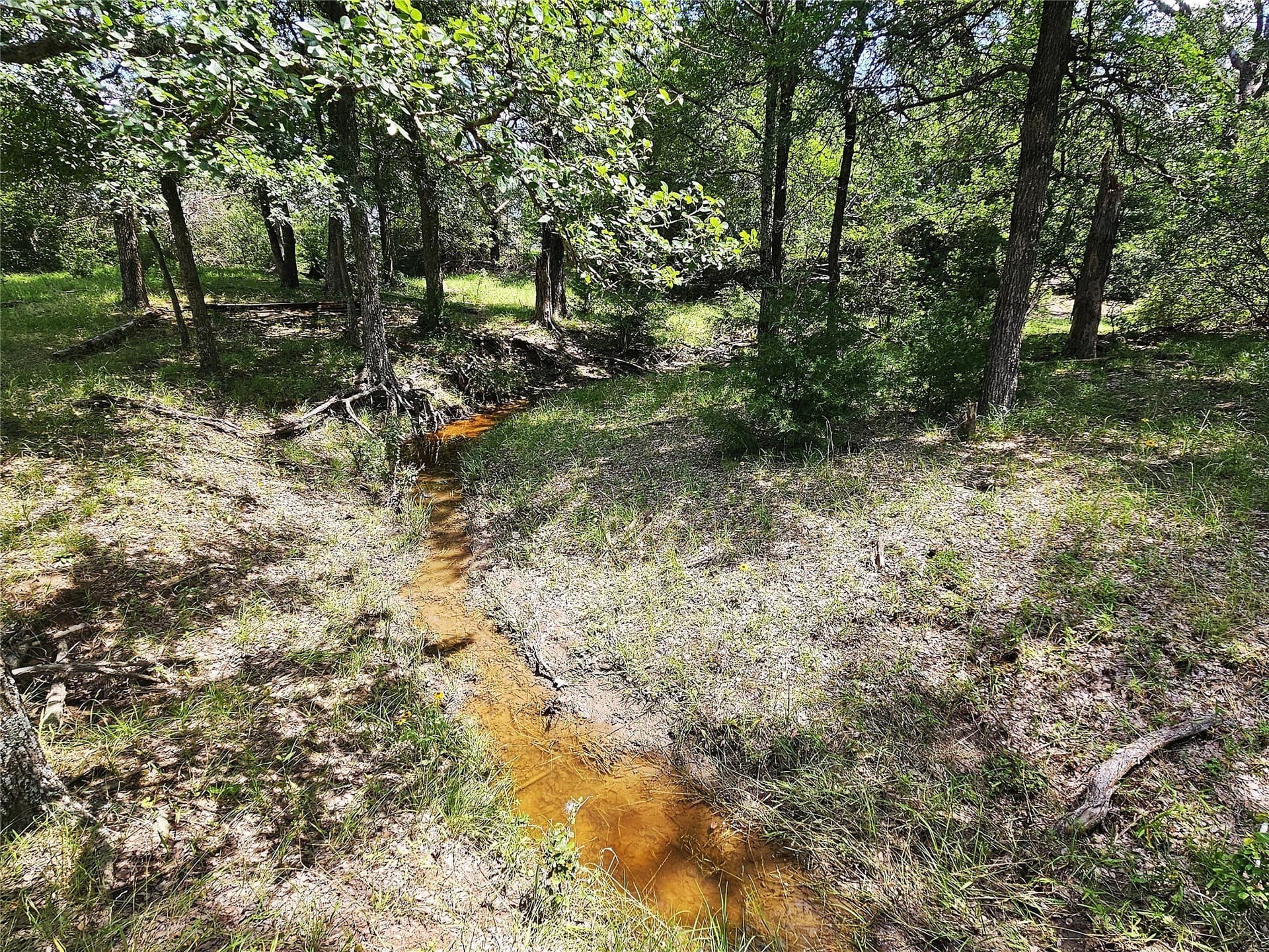 13 acres in Limestone County - photo 10