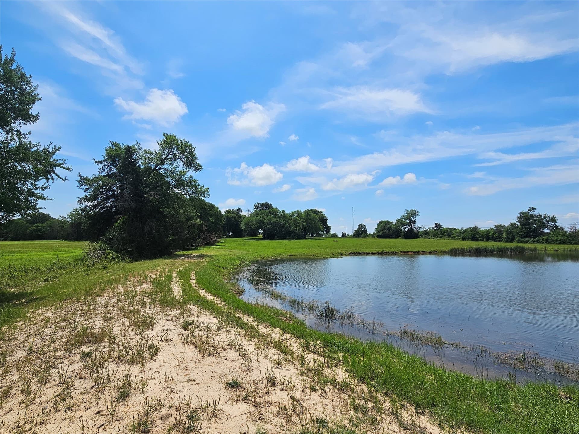 13 acres in Limestone County - photo 7