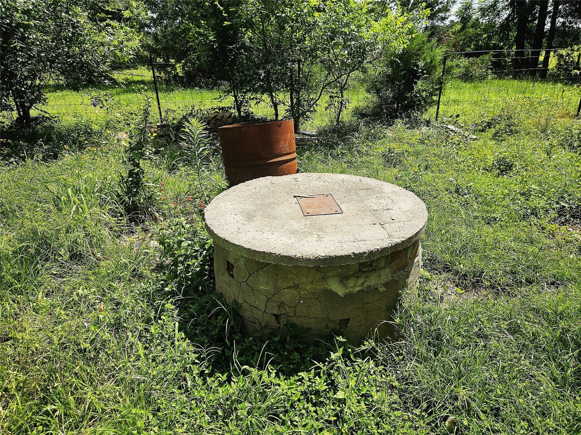 13 acres in Limestone County - photo 15