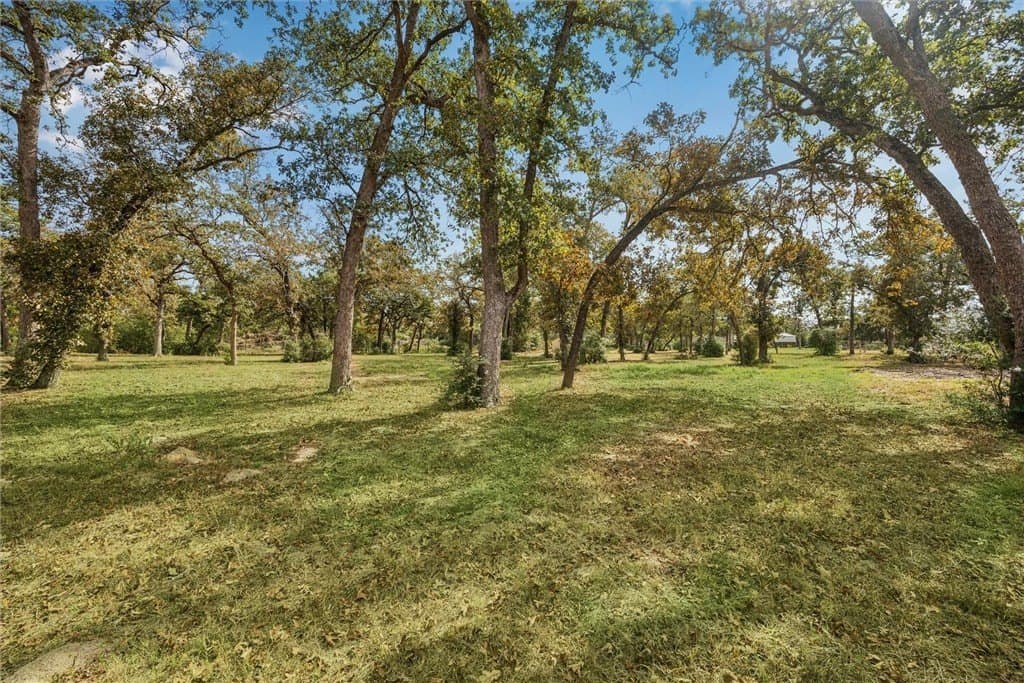 5.26 acres in AUSTIN County - photo 14