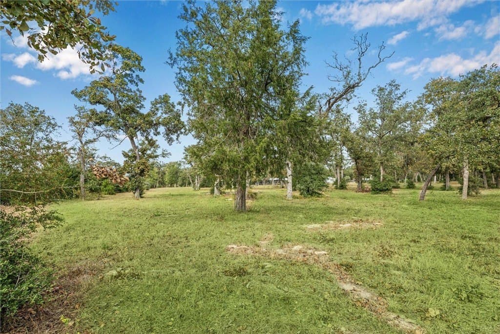 5.26 acres in AUSTIN County - photo 11