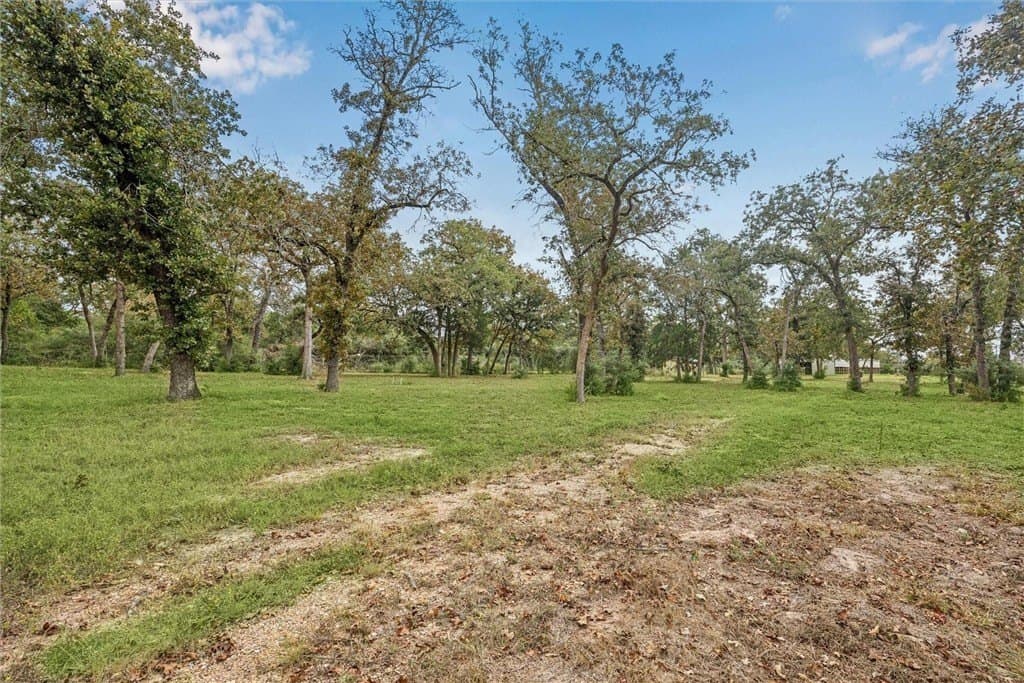 5.26 acres in AUSTIN County - photo 15