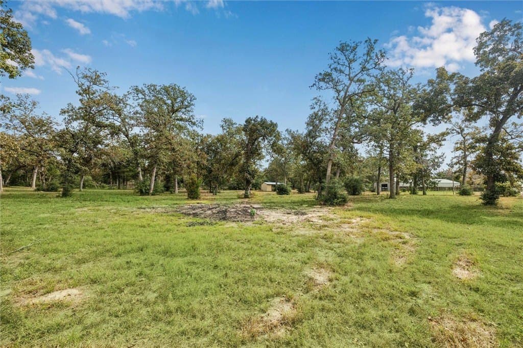 5.26 acres in AUSTIN County - photo 13