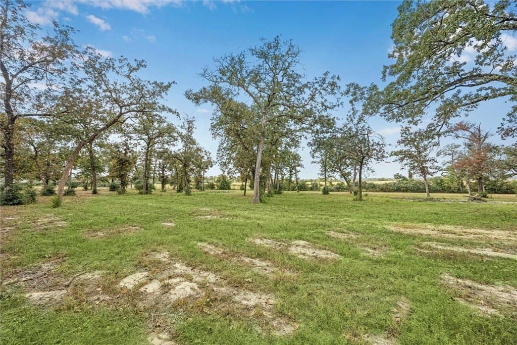 5.26 acres in AUSTIN County - photo 16