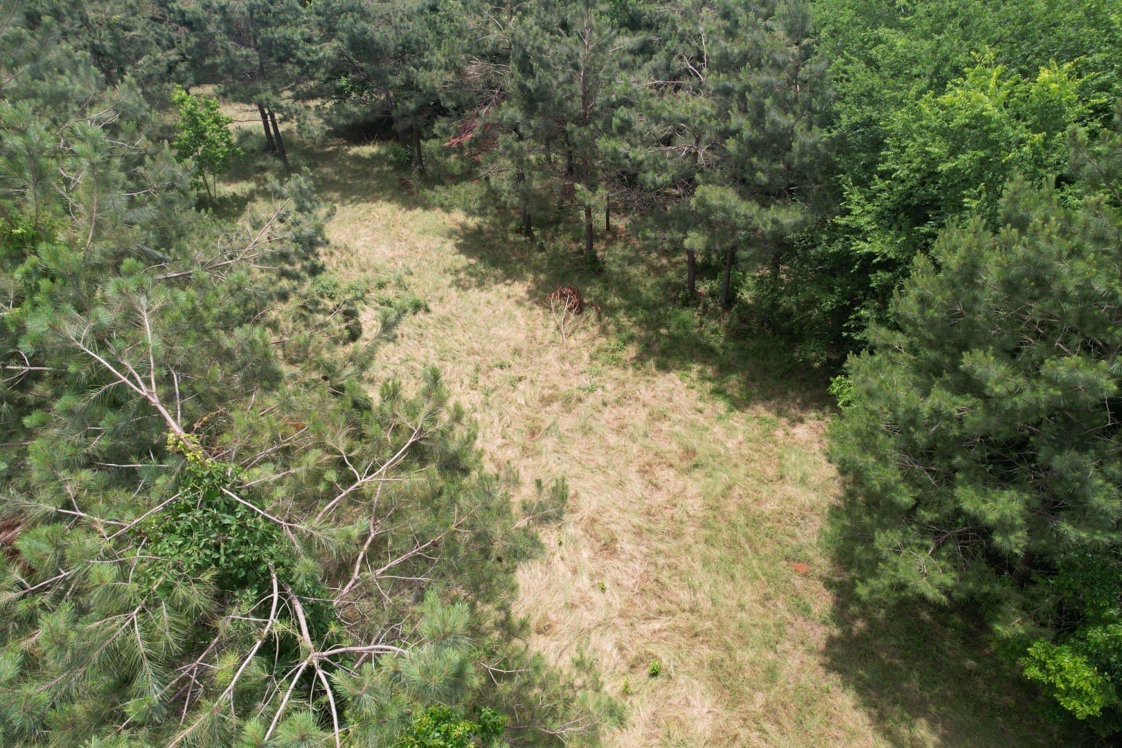 121.3 acres in Rusk County - photo 9