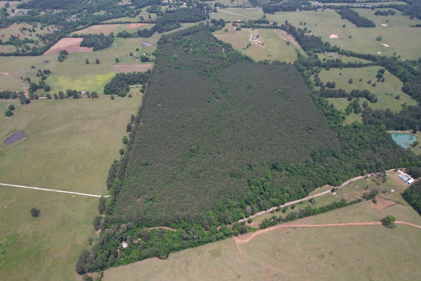 121.3 acres in Rusk County - photo 5