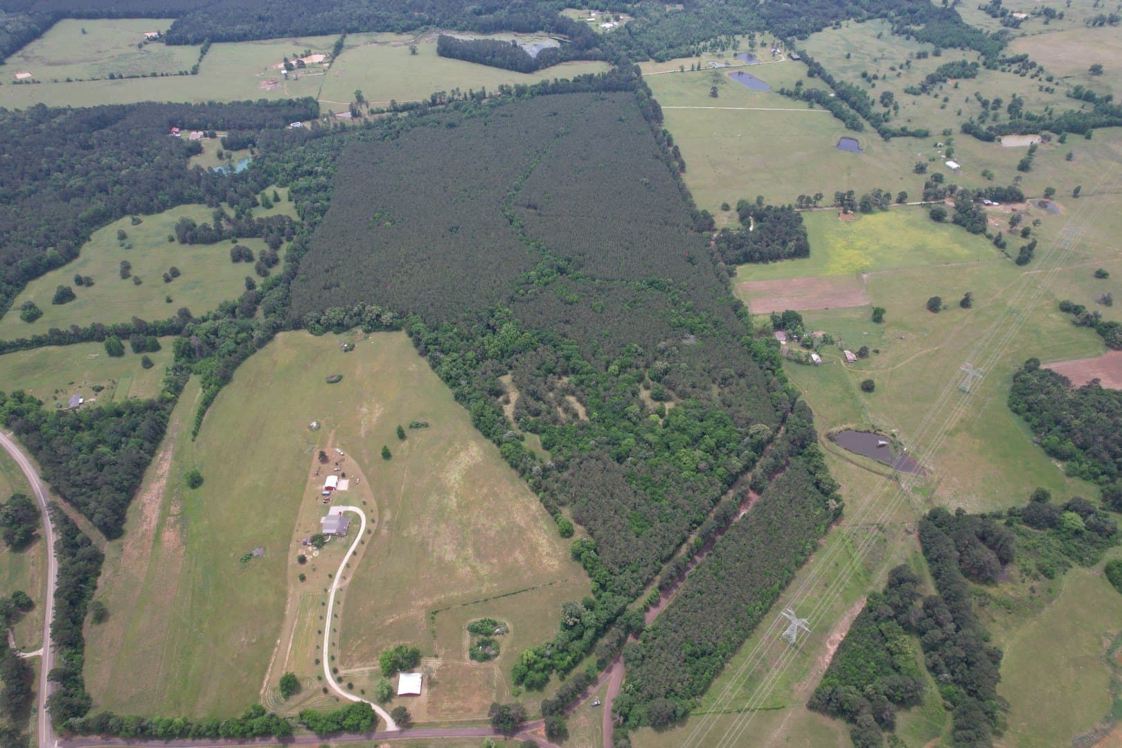 121.3 acres in Rusk County - photo 4