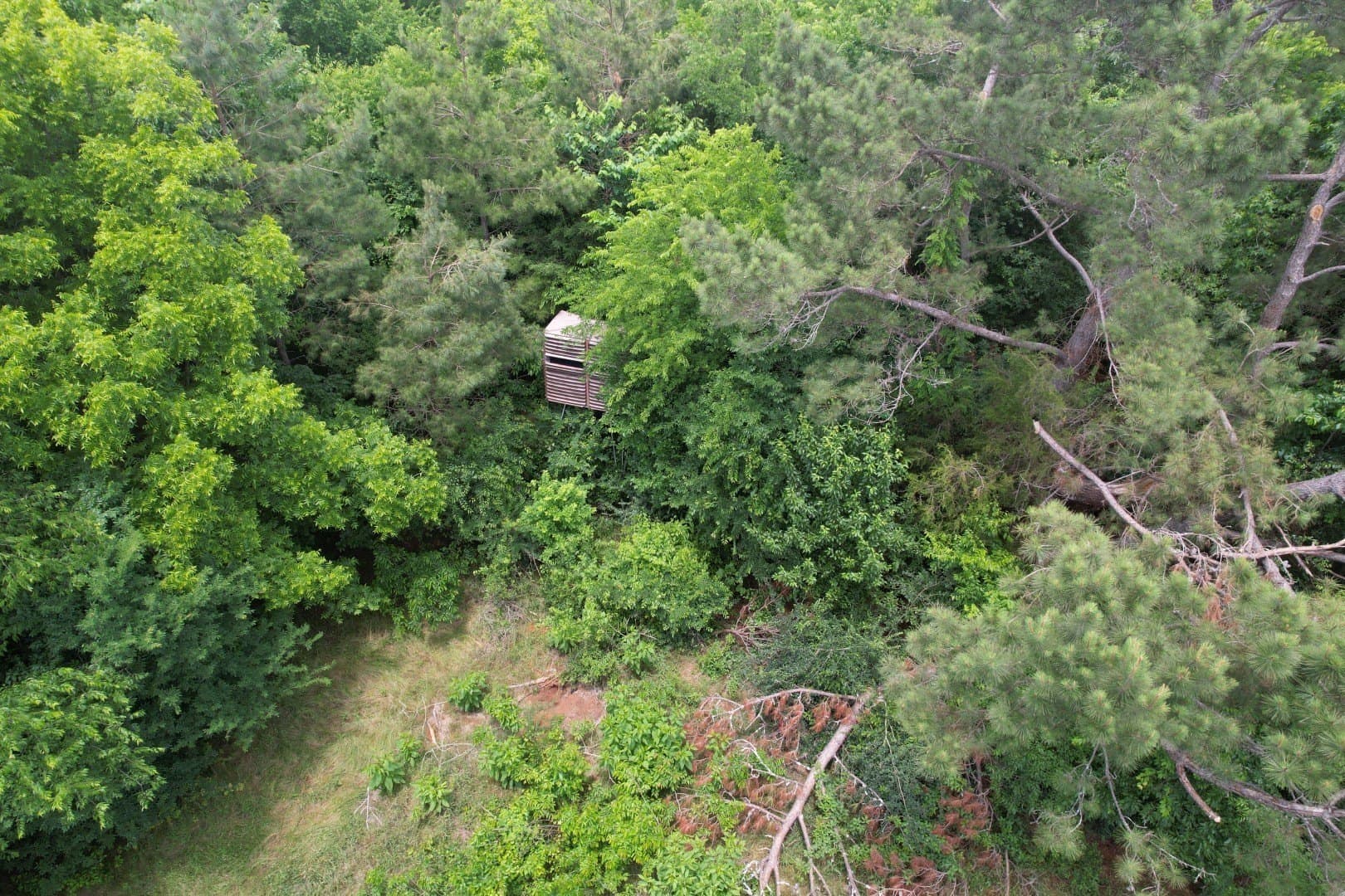 121.3 acres in Rusk County - photo 8