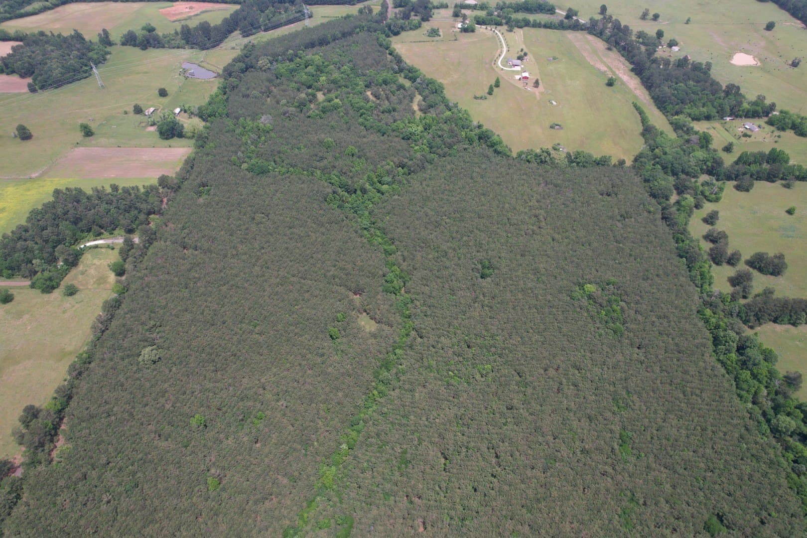 121.3 acres in Rusk County - photo 6