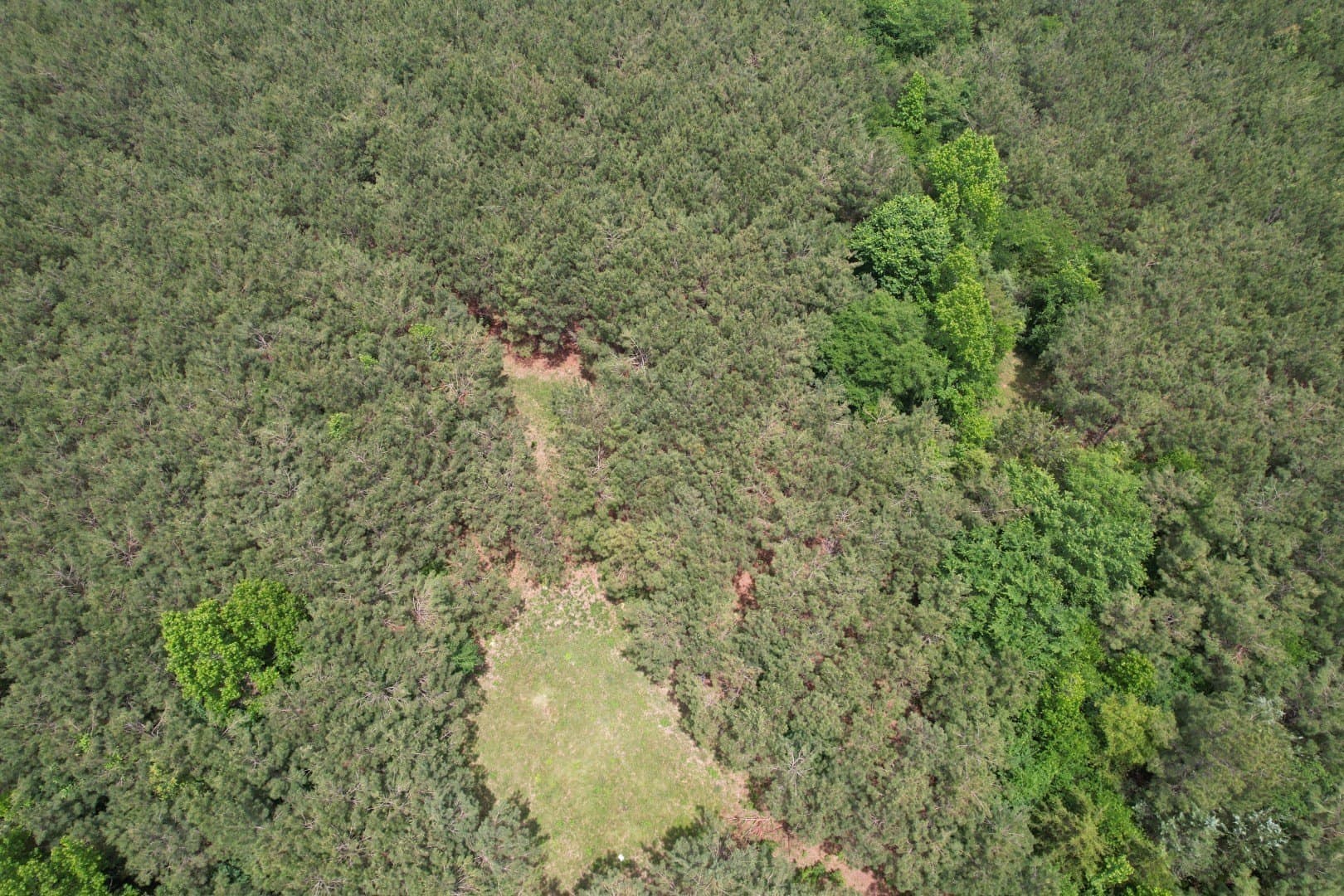 121.3 acres in Rusk County - photo 7