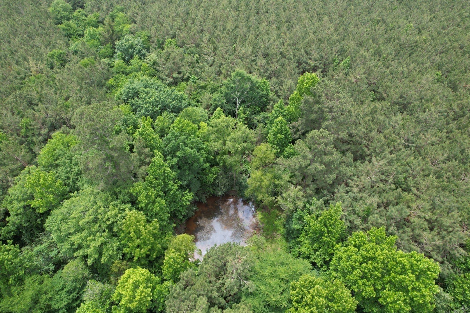 121.3 acres in Rusk County - photo 2