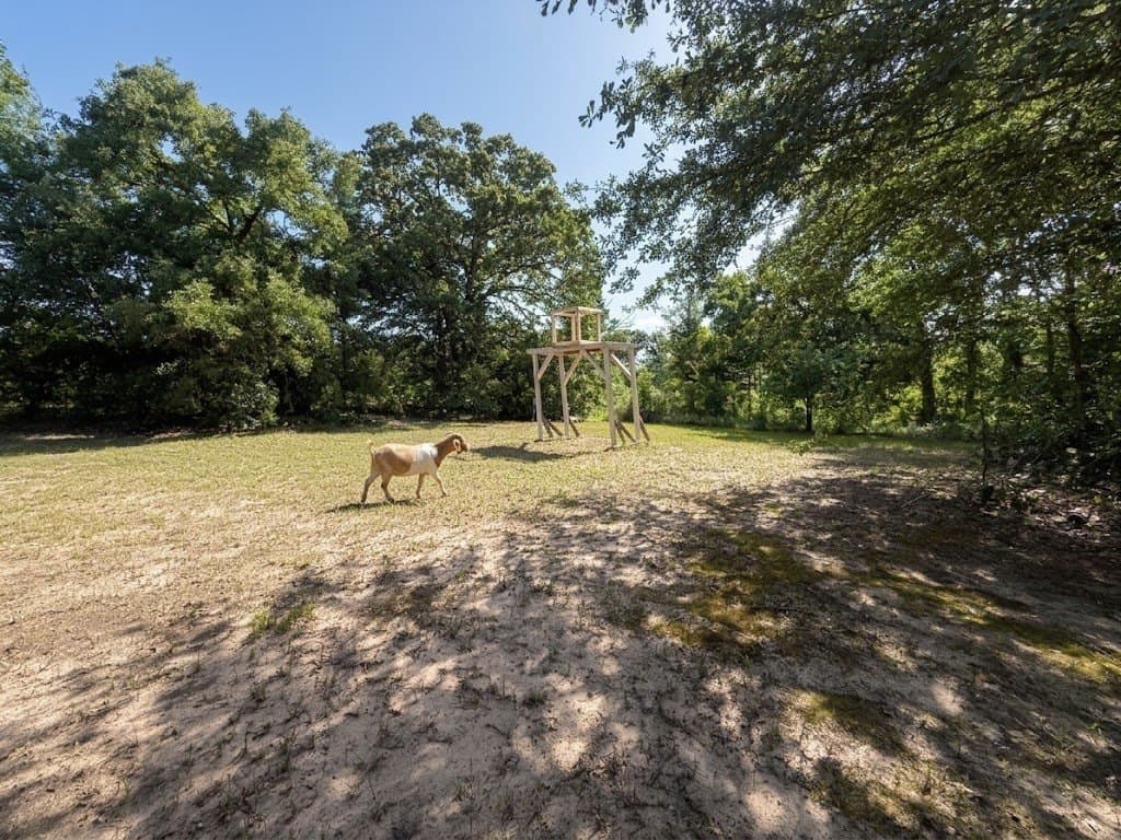 1.62 acres in Van Zandt County - photo 10