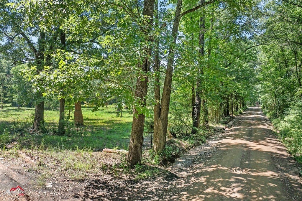 19.05 acres in Texas County gallery image 2