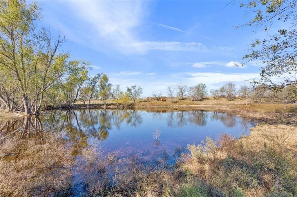 20 acres in McLennan County gallery image 4