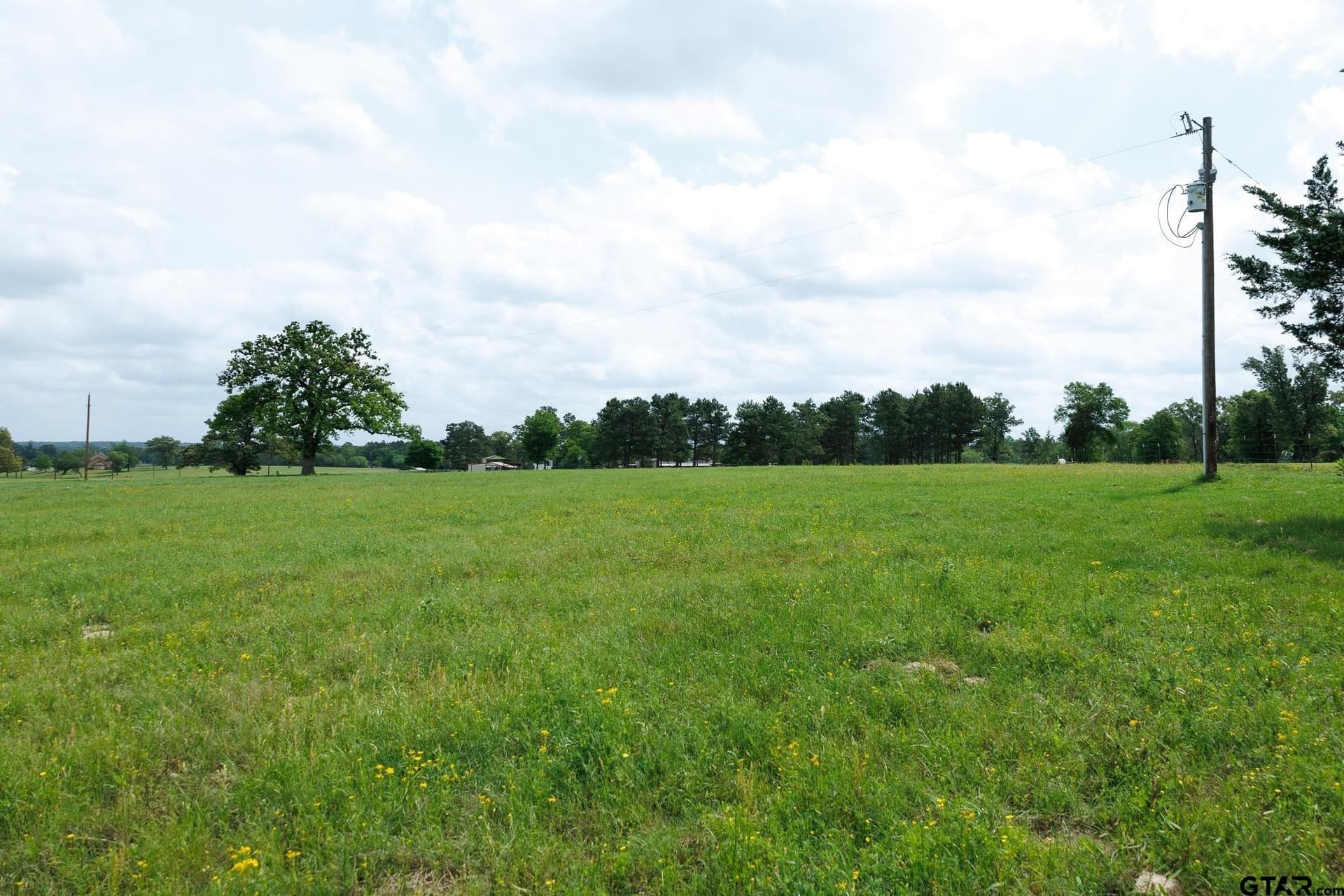 41.5 acres in Anderson County gallery image 2