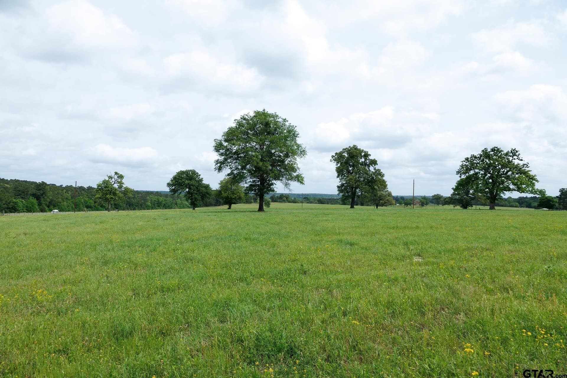 41.5 acres in Anderson County